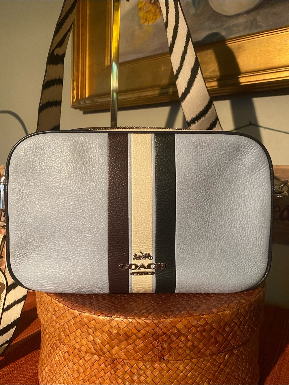 Coach Jes Camera Bag Crossbody Light Blue with Navy and Cream Stripes